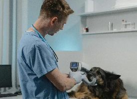 Veteriner Randevu Yönetimi Nasıl Yapılır?
